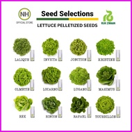 ๑ ◬ Rijk Zwaan Lettuce Pelletized 100 Seeds | Nutrihydro