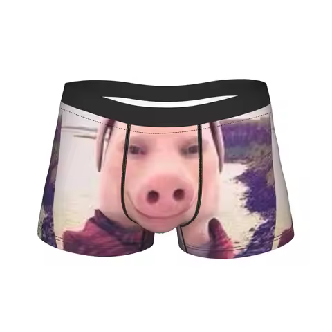 John Pork Is Calling Underwear Men Panties Custom Comfortable Trunk Trenky Boxer Brief Big Size 2XL