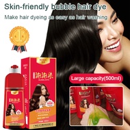 Gentle Plant Extract Ingredient Bubble Dye Hair Dye Color Shampoo Bubble Hair Dyeing