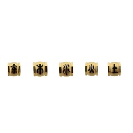 CHOW TAI FOOK 999 Pure Gold Charm - 5 Elements Collection