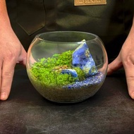 水光山色 / 礦石水晶客製化景觀生態缸