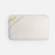 [特價]SAWASDEE 泰國乳膠枕麵包型 64x39x13cm 附枕套