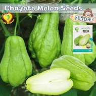 25pcs/pack Fresh Chayote Seeds for Planting Organic Vegetables Plants Seeds High Yield Chayote Melon