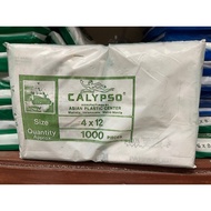 1000pcs - 4x12 Calypso Transparent Plastic