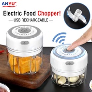 Sunny Electric Food Chopper/Small Onion Chopper/Mini Food Grinder/USB Vegetable Meat Chili Grinder