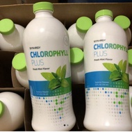 Klorofil Synegy/klorofil sinergi mint 750 ml