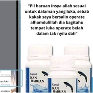 kapsul ikan haruan untuk luka dalaman