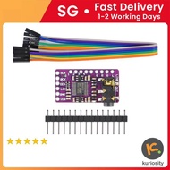 PCM5102 I2S DAC with Line Level Output