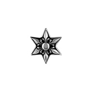 FBPSS111 Platinum 950 Hexagram
