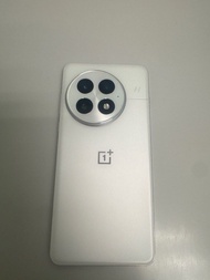 OnePlus 13