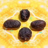 [2024 Toussaint Selection] Colombia Meteorite No. 0221-19~22 Ruyi Jewels/Monnie Jewels/Cintamani/Sir