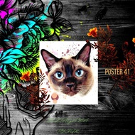 Wall decoration poster 20 x 20 and 20 x 15 p41 - p48 using 6mm AAL mdf board