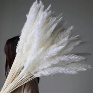 15/30/60/90/120pcs 17.7 Inch/45cm Tall Beige Pampas Grass Stems, Ideal For Adding Boho Vibe To Your 