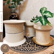 Senmei Zhizhi/Korean Style in Inverted Convex Pottery Pot/Foliage Pot/Pottery Plants/Office Potted P