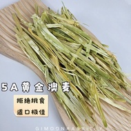 PREMIUM AUSTRALIA GOLDEN OAT HAY - HIGH FIBER FOR SMALL PET 5A黄金澳麦