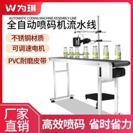 Adjustable Fully Automatic Inkjet Printer Assembly Line Production Date QR Code Printer Egg Carton I