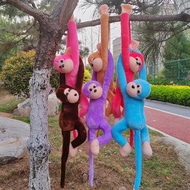 Scenery Zoo Screaming Colorful Long-Armed Monkey Doll Hanging Curtains Hanging Monkey Plush Toy Ragd
