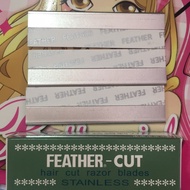 Feather Blades 1 Box Contains 12