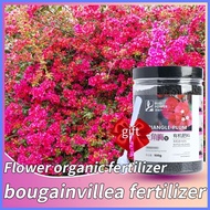 ✤ ♣ ✴ bougainvillea food 500g food for bougainvillea