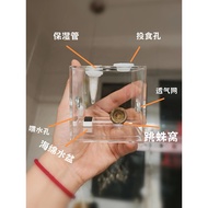 Jumping Spider Breeding Box Buddha Jumping Spider High Transparent Landscaping Box Breeding Box     