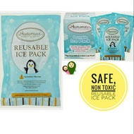 Autumnz Reusable Ice Gel Pack / Cooler Pack