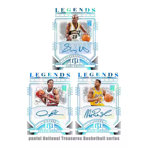 Panini National Treasures Basketball Series Diy Homemade Magic Johnson Rodman Gary Payton Collection