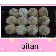 DIMSUM,FROZEN,KAK,EL