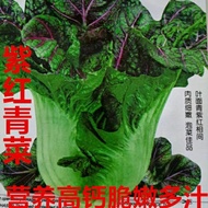 Big Leaf Green Vegetables Red Green Vegetables Purple Red Seeds Seeds Kimchi Vegetable Seeds High Ca
