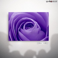 U-RO DECOR รุ่น VIOLET ROSE ภาพพิมพ์ ขนาด 50x70 ซม. ยูโรเดคคอร์ ภาพแต่งบ้าน รูปภาพติดผนัง รูปภาพวิวธ