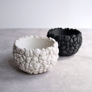 CBP007植木鉢 原創設計/3D列印/多肉塊根植物/盆器盆栽/送禮