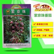紫櫻桃番茄種子 種籽黑珍珠紫京珠高產營養紫黑色水果小西紅柿種籽