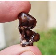 1.5433F - Natural Slide Mountain Fire Agate - USA