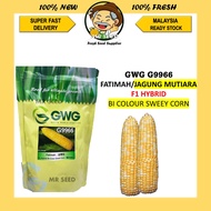 LECKAT/GWG 592 906 908 G9966(200G/500G) JAGUNG MANIS SUGAR RICH/PACIFIC SWEETER/HANNAH F1 BIJI BENIH