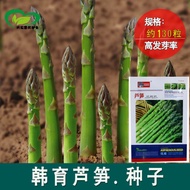 READY STOK Benih Asparagus terbaik/ sayur asparagus ready stok