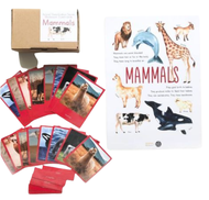 Montessori Animal Classification Complete A3 Print Only Game