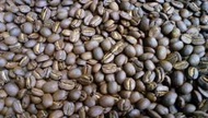 A++~台灣咖啡豆 阿里山 阿拉比卡 咖啡豆 自產自銷~A級