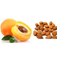 Biji Aprikot Asli  Vitamin B17
