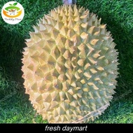 IR Durian musang king Malaysia super utuh