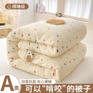 Soy Waxy Raw Cotton Winter Waxy Gift Quilt Spring Live Quilt Fiber Thermostatic Quilt Quilt Autumn W