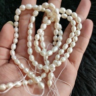 FRESH AND WATER PEARL BIWA 6_7MM