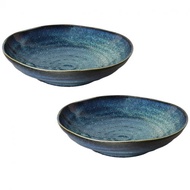 Ceramic Dinner Plate 2 pcs set 21cm Navy | For Pasta, Curry / Japanese Traditional Mino Ware