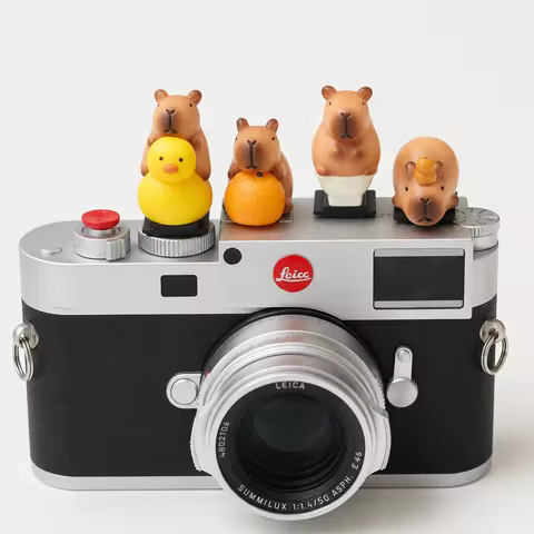 Cute Capybara Hot Shoe Cover for Sony ZV-E10 A7C II Canon R50 Fujifilm X100VI X-T30 II Camera Dust C