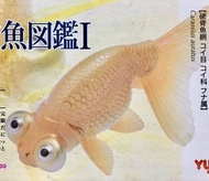 🈲 絕版珍藏 🈲 Yujin 原色観賞魚図鑑Ⅰ原色觀賞魚圖鑑 (Celestial eye 頂天眼) 金魚 2006年