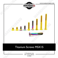 Titanium Screws M5X15