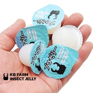 Ultra high protein jelly for beetle and insects Food Insect Ant Beetle Pet