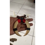 Dayak Pig Fangs Ethnic Necklace