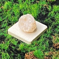 瑪瑙白晶洞開口笑 可愛貝殼造型 招財開運 風水小物 快速出貨