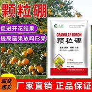 Granular Boron Fertilizer Improves Sitting Fruit Base Fertilizer Base Shi Wheat Rapeseed Fruit Tree 