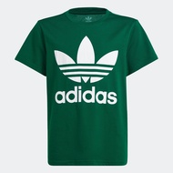 adidas ไลฟ์สไตล์ เสื้อยืด Trefoil เด็ก สีเขียว IB9933