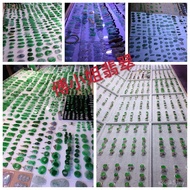 Source Stone Pixiu Jade Surface Wholesale Pendant Manufacturer Inlaid Pendant Nude Four Meeting Egg 